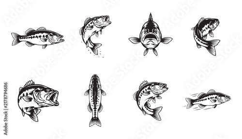 bass fish vintage style hand drawn collection for fishing and outdoor sport design.