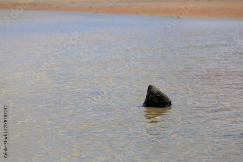 Canvastavla Rock along the coast resembles a sharks dorsal fin near the surface of the ocean