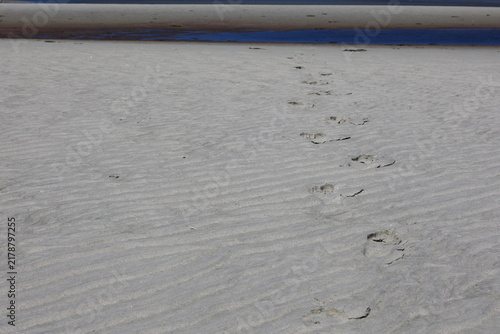 фотографія Footprints across white sandy beach left by barefoot vacationer