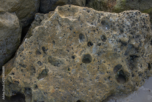Bild auf Leinwand Close-up of porous weathered rock with natural holes