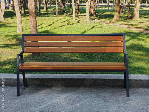 A bench for relaxation in pine park