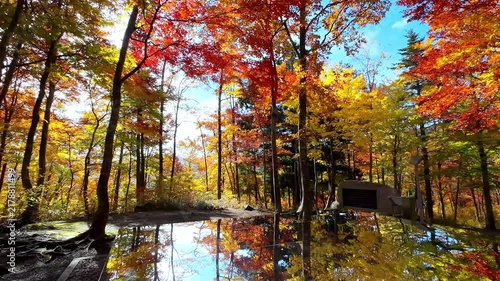 空気神社【山形県朝日町】紅葉の空気神社