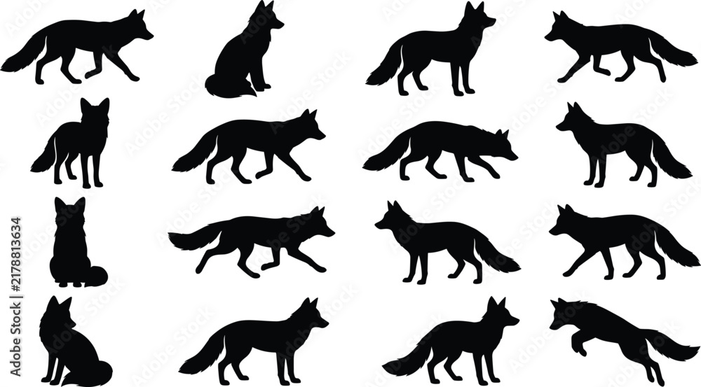 Fototapeta premium Black silhouette vector collection of foxes in multiple poses including sitting, standing, walking, running, and jumping