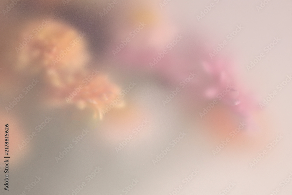 Obraz premium Smoke selected soft focus autumn chrysanthemum aster Flower through translucent matte frosted glass. Abstract natural blurred grain light fog background.