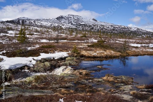 Norefjell Mountain Landscape with Melting Snow and Stream