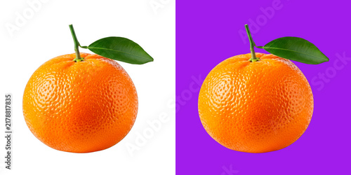 Konstfotografi Fresh whole mandarin orange with green leaves against dual colored background