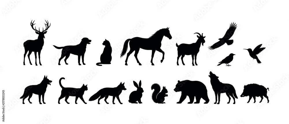Obraz premium Collection of diverse animal silhouettes on a clean white background