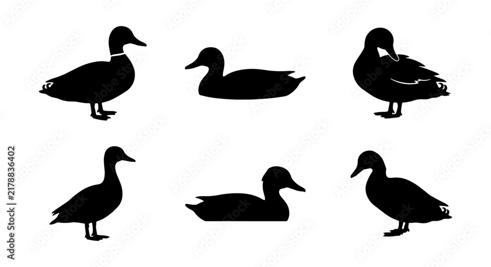 Obraz premium Six Silhouette Duck Vector Icons, Wildfowl Bird Graphics, Aquatic Animal Silhouettes for Nature and Wildlife Designs