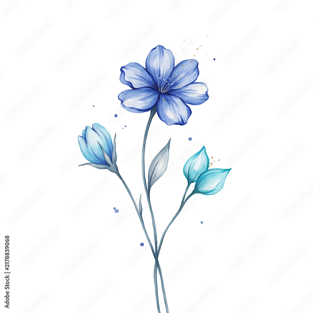 Obraz premium A delicate blue flower with two buds on a white background, isolated on a, transparent background