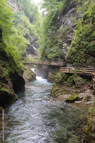 Foto Stimmungsvolle Aufnahme des Flusslaufs in der Vintgarklamm (Vintgar Gorge) in Slowenien