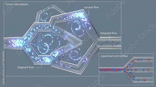 Microfluidic chip structure showing blood cell sorting and separation mechanism