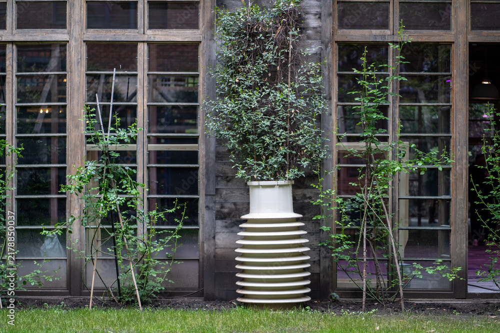 Obraz premium Porcelain electrical insulator is creatively repurposed as a planter for a climbing vine beside a wooden building, forming an unusual garden design feature for a restaurant or country home.