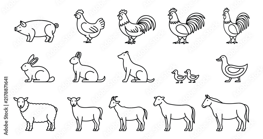 Obraz premium Farm Animal Collection: A charming collection of line art illustrations featuring common farm animals, including a pig, chicken, rooster, hen, rabbit, dog, ducklings, duck, sheep, goat, and horse.
