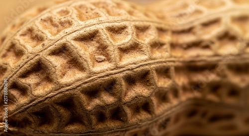 Macro Close-Up of a Natural Peanut Shell Texture with Organic Patterns