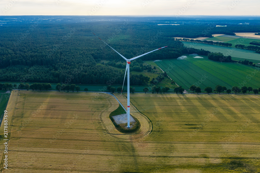 Obraz premium Wind turbines farm. Alternative renewable energy generation. Green energy concept. Organic harvest in farm field. Agricultural harvest. Crop cultivation. Wind turbines farm. Green energy