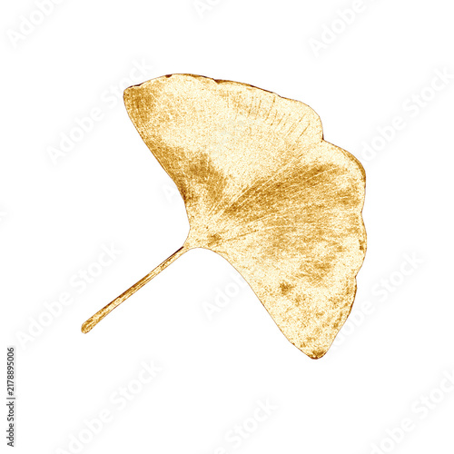 Elegant golden ginkgo biloba leaf isolated on transparent background. Detailed metallic botanical element for luxury, nature, wellness, autumn and decorative designs.