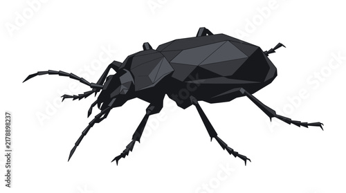 Low poly 3D illustration of a black beetle