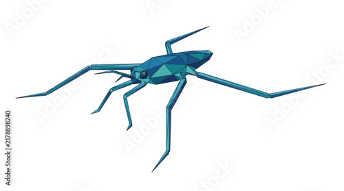 Low Poly Blue Water Strider Insect Illustration