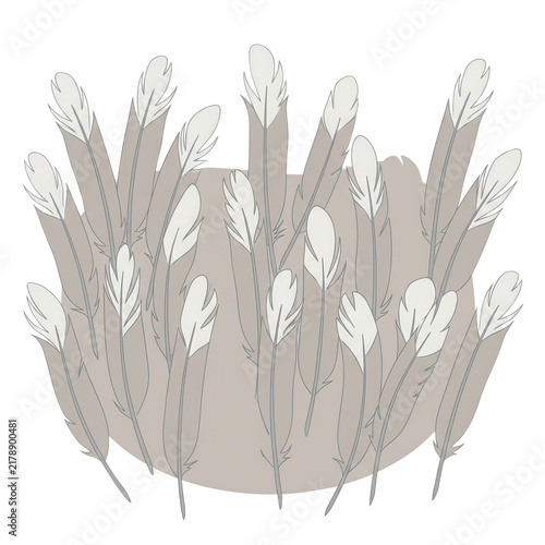 Eine flache, minimalistische Vektorillustration mit einer Ansammlung von grauen Vogelfedern vor einem dezenten, hellbraunen Hintergrund, ideal für dekorative Designs und kreative Projekte.
