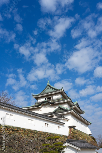 Tapety artystyczne 青空と和歌山城 和歌山県和歌山市
