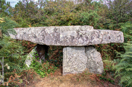 Obraz na plátně Le dolmen de Rostudel en Bretagne Finistère France