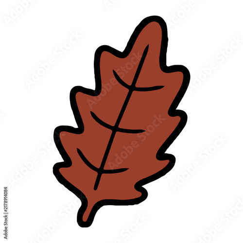 Brown Oak Leaf Vector Illustration
