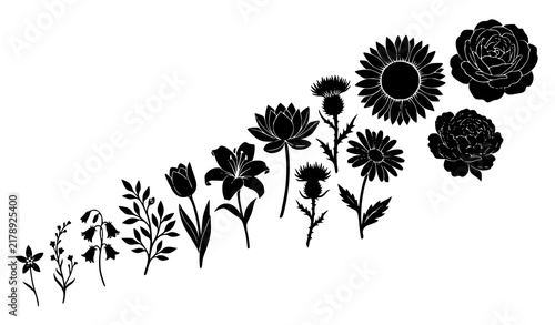 Bold Black Floral Silhouette Set with Diverse Flower and Botanical Forms