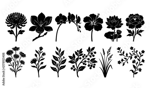 Elegant Black Floral Silhouette Collection with Twelve Botanical Vector Symbols