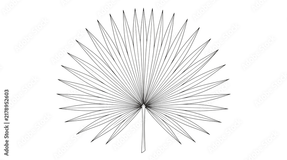 Obraz premium Minimalist palm leaf line art, tropical fan palm foliage illustration, black and white botanical outline on white background