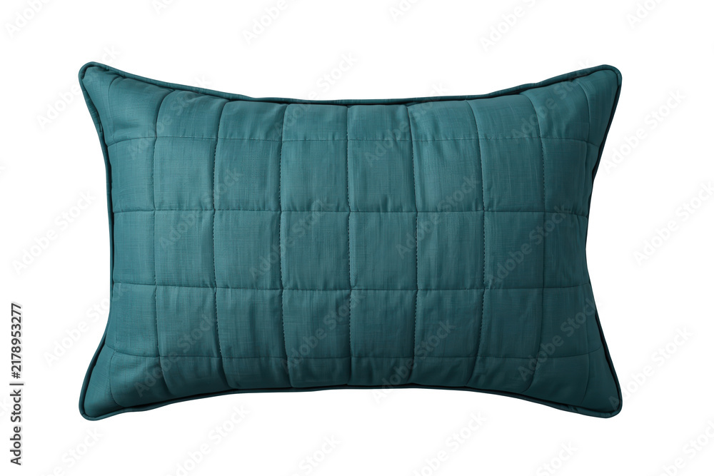 Obraz premium Dark Teal Padded Rectangular Pillow