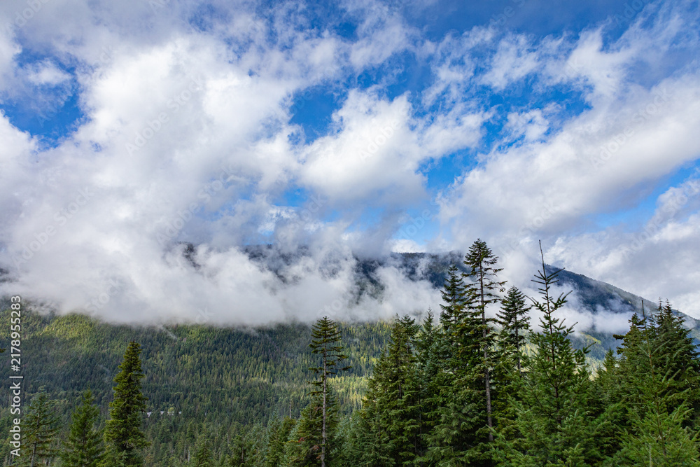 Obraz premium Low Clouds Over Forested Mountains in Washington State
