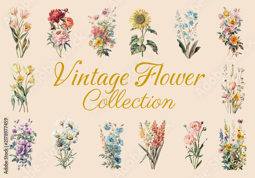 Vintage Floral Illustrations Element Design Set