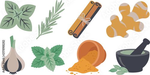 Organic Culinary Spices and Fresh Herbs Vector Set with Mortar Pestle Ginger Cinnamon Garlic Turmeric and Cardamom for Kitchen Cooking and Recipe Designs