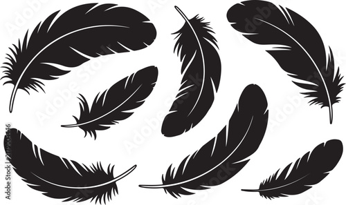 Set of hand drawn black feathers isolated on a white background