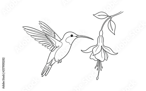 Flying Swallow Bird with Branches Line Art Vector Illustration – Minimalist Black and White Outline Sketch of Spring Nature Scene
