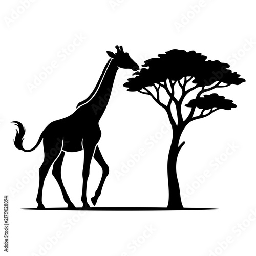 Giraffe and Acacia Tree African Safari Wildlife Silhouette