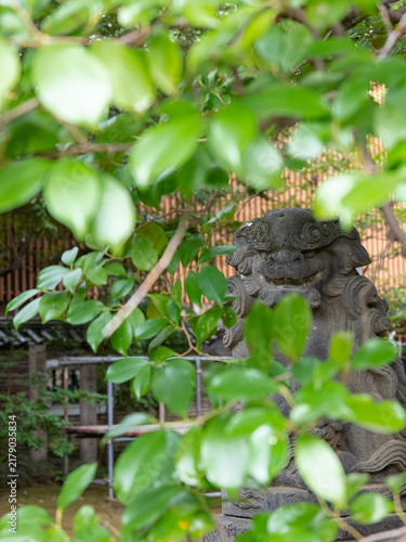 Photography Stone Guardian Lion Statue surrounded Green Leaves at Japanese shinto shrine