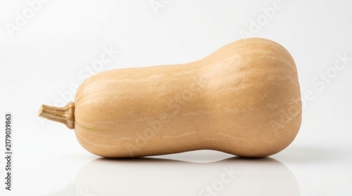 A single raw butternut squash with a light tan skin and a sturdy woody stem resting on a bright reflective white surface