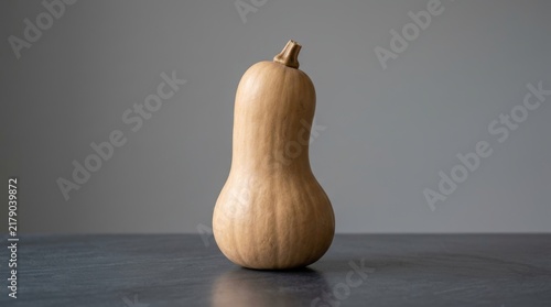 A single beige butternut squash stands vertically on a smooth grey surface against a clean neutral backdrop for a minimalist vegetable portrait