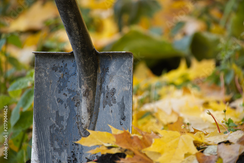 Shovel in Autumn Leaves Outdoor Gardening Tool with Wet Metal Blade