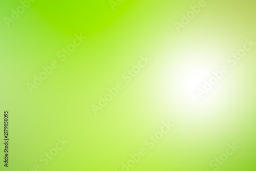 Green nature background, blur bokeh soft sunlight spring forest summer backdrop, beautiful foliage natural glowing spa aroma wallpaper leaf abstract effect beauty blurred