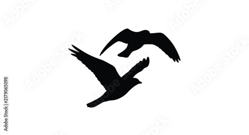 Two birds in flight a black silhouette against a white background
