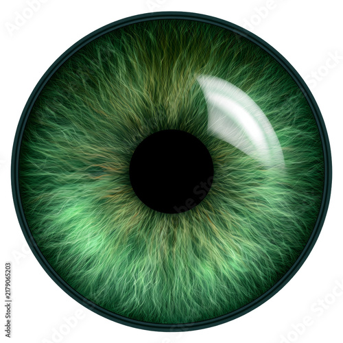 Realistic Green Human Eye Iris on Transparent Background