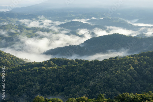 Landscape of Morning Mist with Mountain Layer. mountain ridge and clouds in rural jungle bush forest