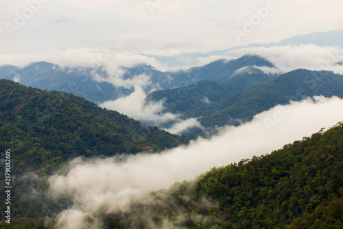 Landscape of Morning Mist with Mountain Layer. mountain ridge and clouds in rural jungle bush forest