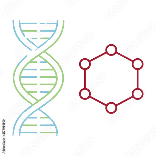 Minimalist dna double helix and hexagonal molecular bond in clean monoline style on a white background. Science and biotechnology concept