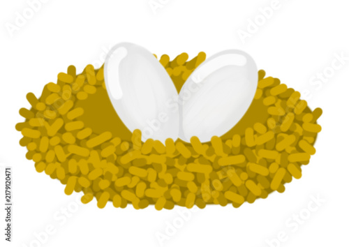 Nest with birds egg illustration