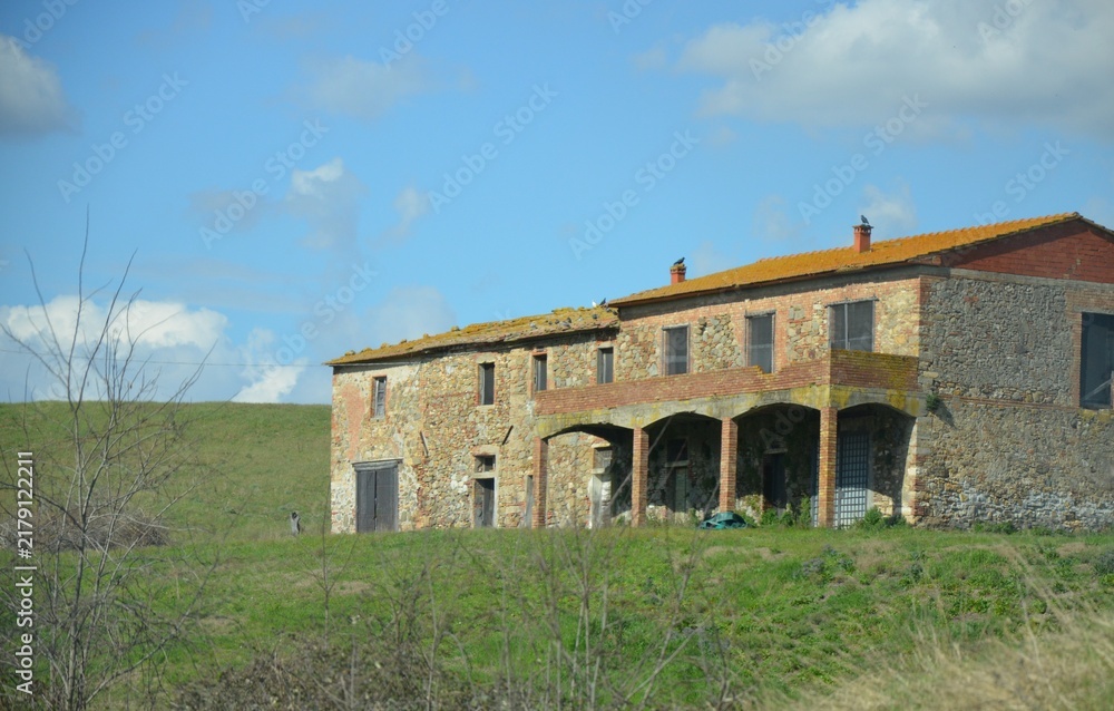 Fototapeta premium hilly rural landscape, typical of the Italian countryside