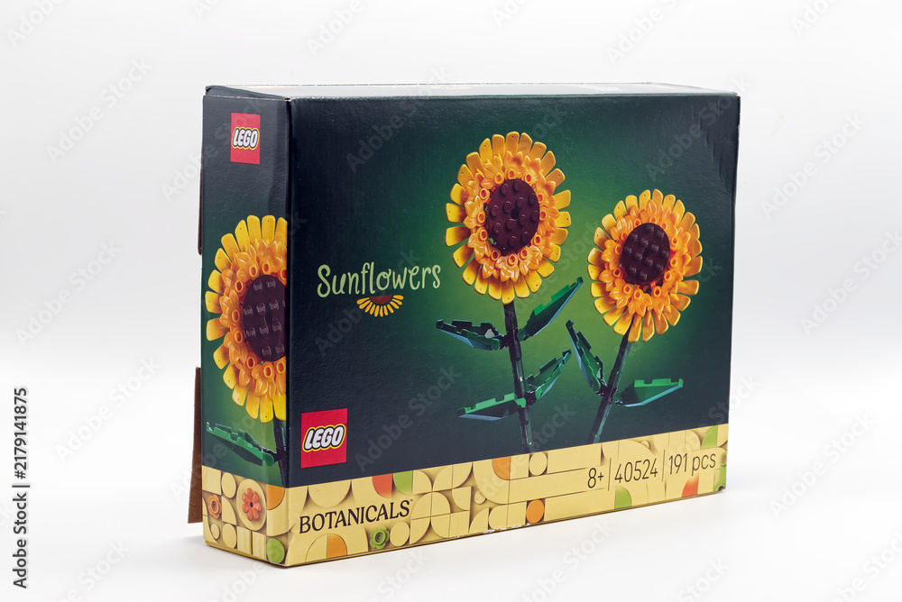 Obraz premium Bologna - Italy - September 2, 2026: Lego botanicals sunflowers building toy set box item 40524 isolated on a white background.