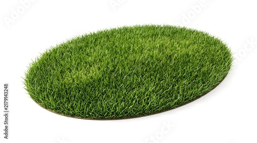 Oval piece of lush green artificial grass turf with synthetic